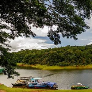 Thekkady