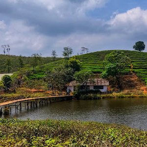 Vagamon
